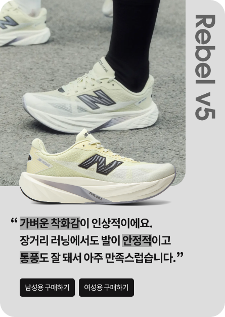 Rebel v5 리뷰