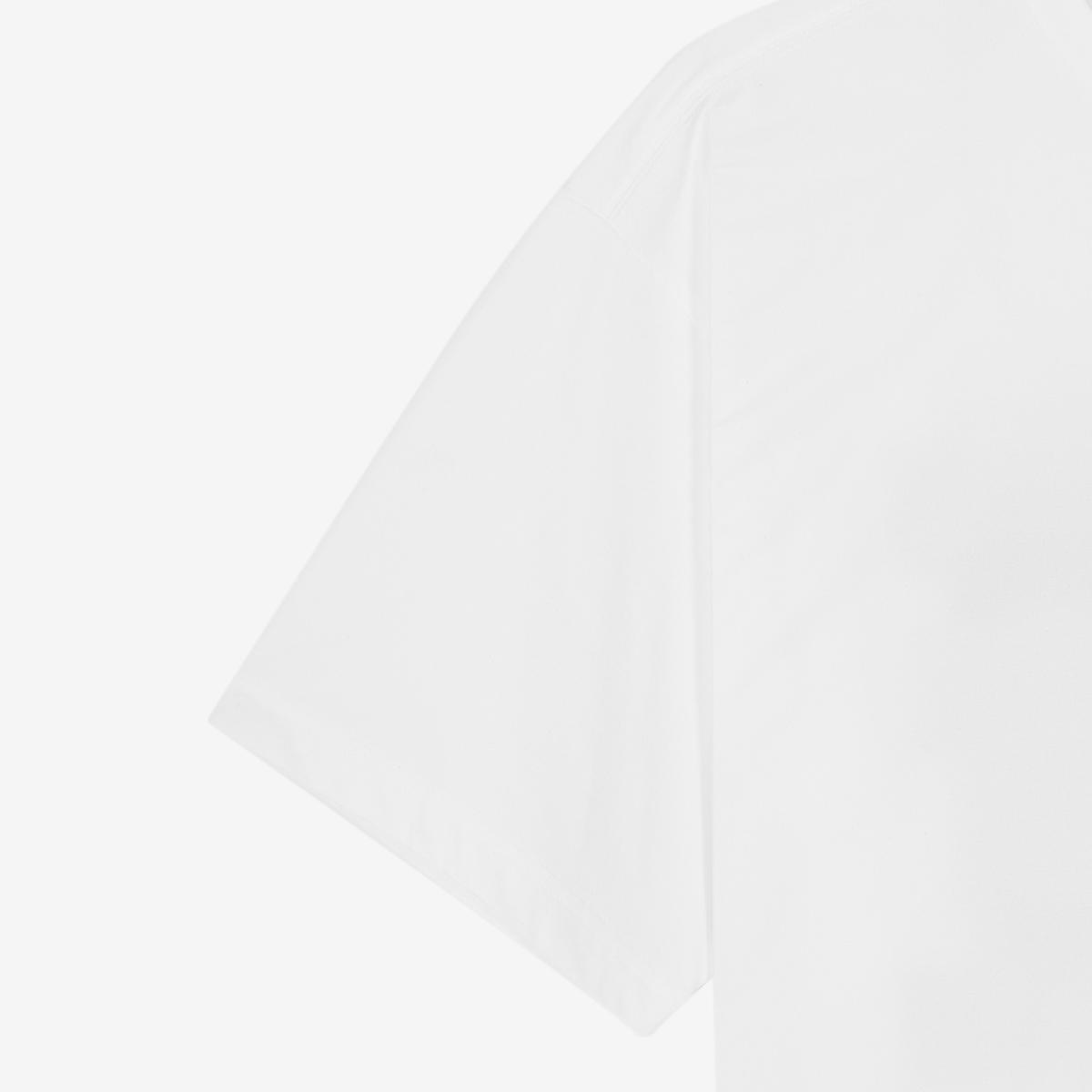 (10)White