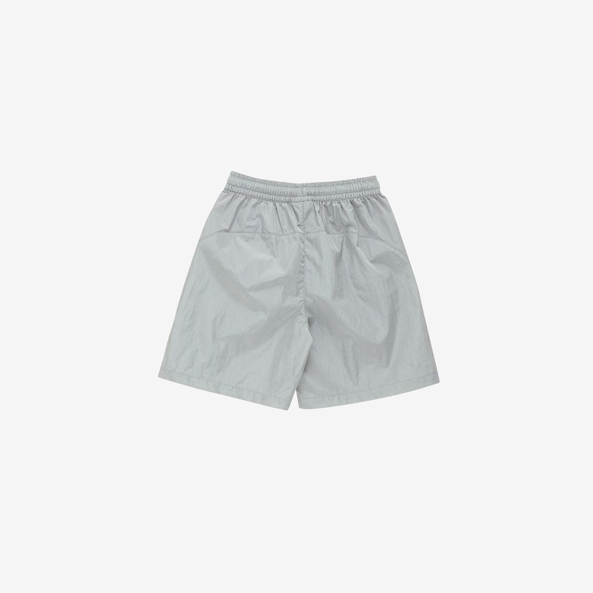 (91)Silver