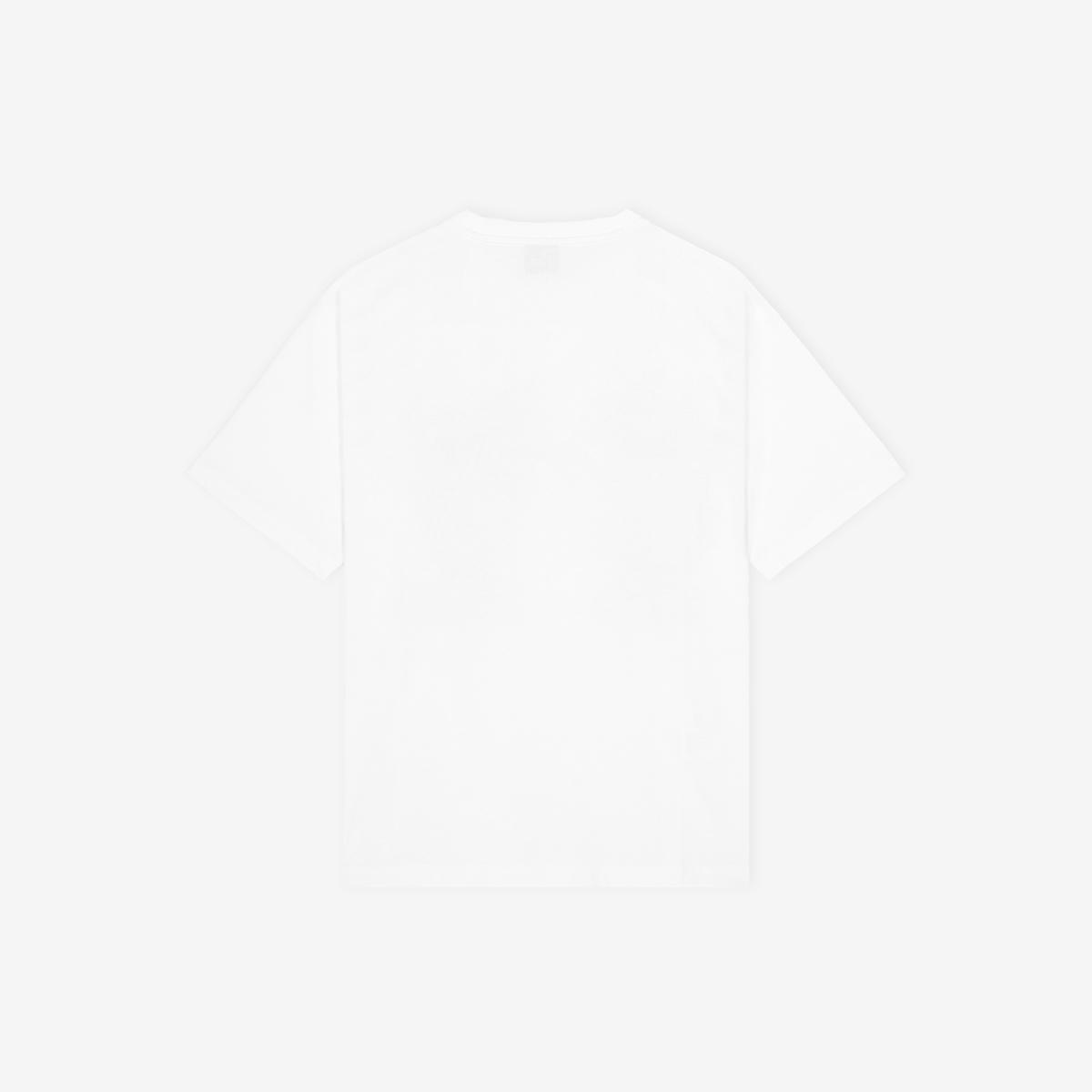 (10)White