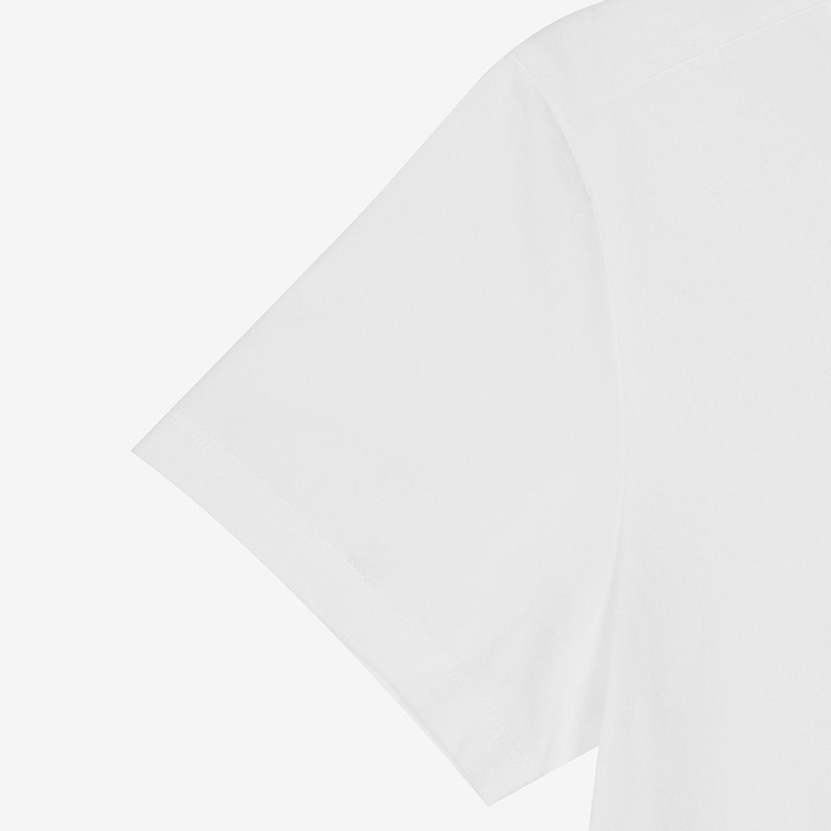 (10)White
