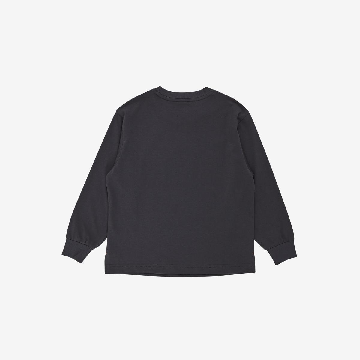 (17)Dark Gray
